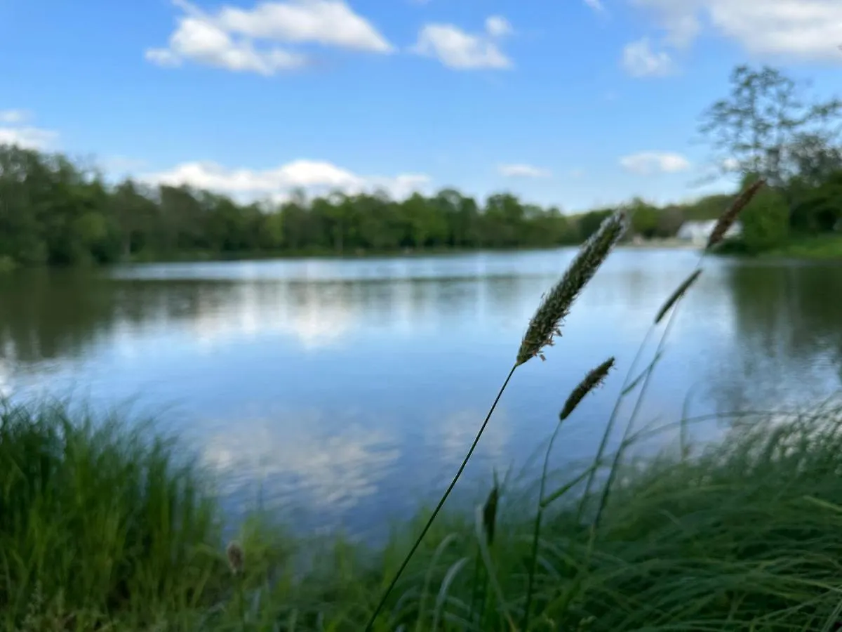 Frankenwald Ferienhaus Fourstars Am See In Lichtenberg, Bayern, Oberfranken, Bad Steben - Hof -Saale, Rennsteig ドイツ