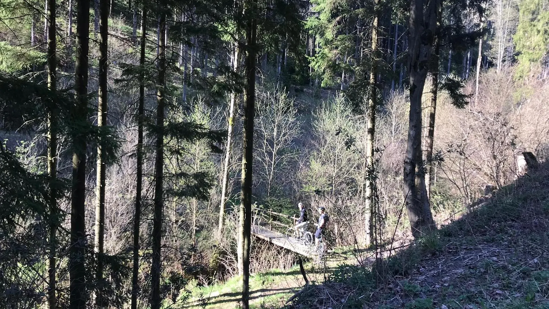 Frankenwald Ferienhaus Fourstars Am See In Lichtenberg, Bayern, Oberfranken, Bad Steben - Hof -Saale, Rennsteig 0*,